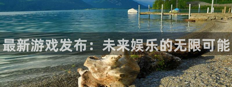 星欧娱乐什么意思：最新游戏发布：未来娱乐的无限可能