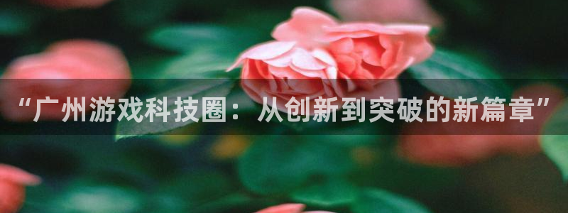 星欧娱乐直属：“广州游戏科技圈：从创新到突破的新篇章”