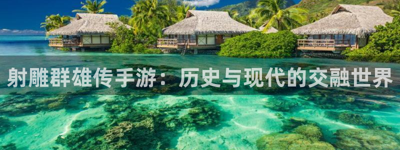 星欧娱乐手机网页版登录：射雕群雄传手游：历史与现代的交融世界