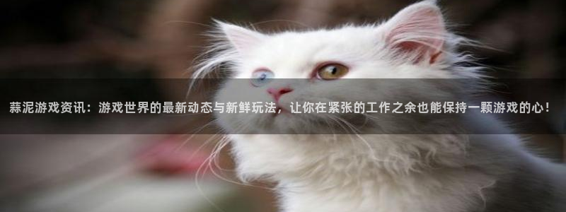 星欧娱乐直属：蒜泥游戏资讯：游戏世界的最新动态与新鲜玩法，让