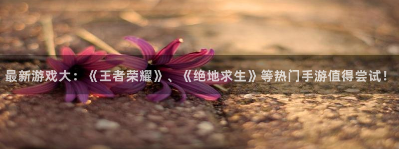 星欧娱乐平台注册开户：最新游戏大：《王者荣耀》、《绝地求生》