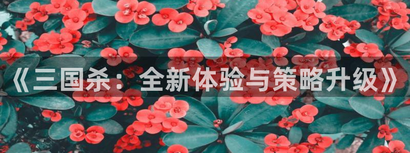 星欧娱乐怎么注册：《三国杀：全新体验与策略升级》