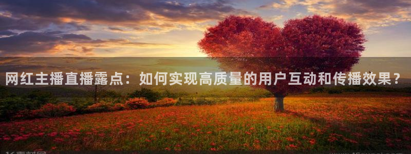 小班体育游戏玩球：网红主播直播露点：如何实现高质量的用户互动和传播效果？