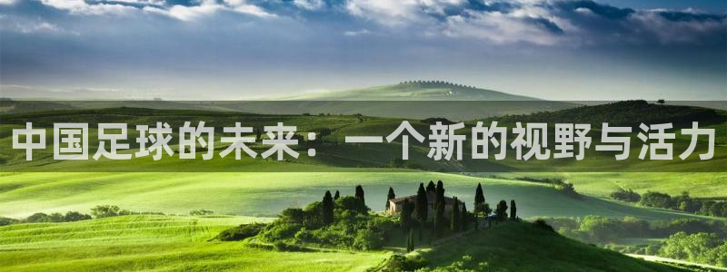 玩球体育直播吧：中国足球的未来：一个新的视野与活力