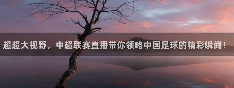 玩球直播app下载安装：超超大视野，中超联赛直播带你领略中国足球的精彩瞬间！