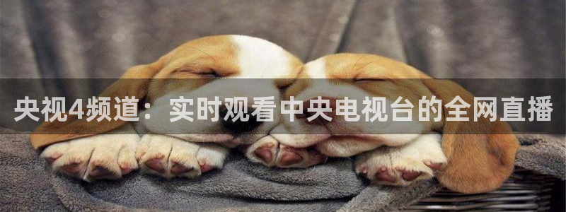 玩球免费直播：央视4频道：实时观看中央电视台的全网直播