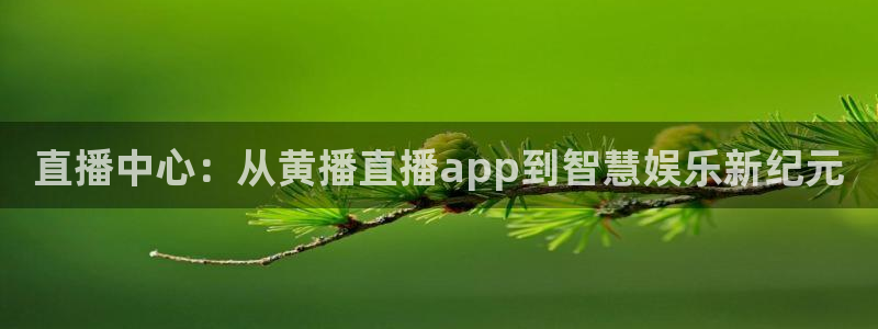 宝宝玩球视频：直播中心：从黄播直播app到智慧娱乐新纪元