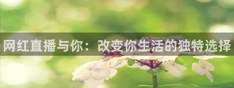 玩球直播app苹果下载：网红直播与你：改变你生活的独特选择