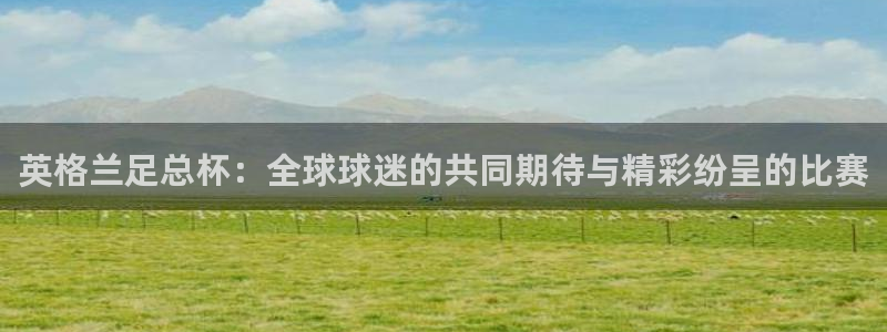 nba玩球直播：英格兰足总杯：全球球迷的共同期待与精彩纷呈的比赛