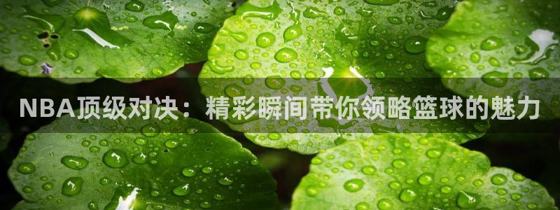 nba直播玩球：NBA顶级对决：精彩瞬间带你领略篮球的魅力