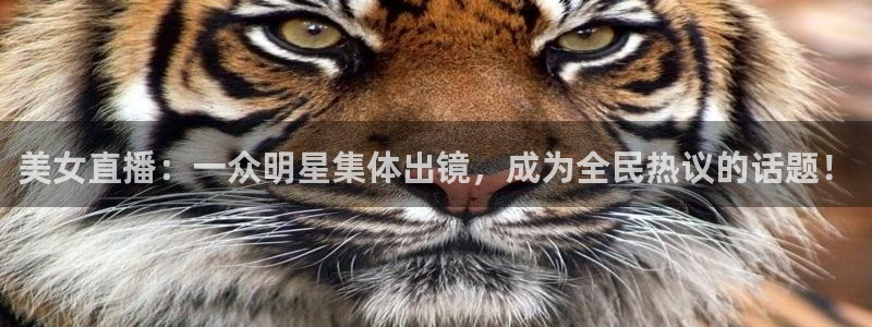 玩球直播观看：美女直播：一众明星集体出镜，成为全民热议的话题！