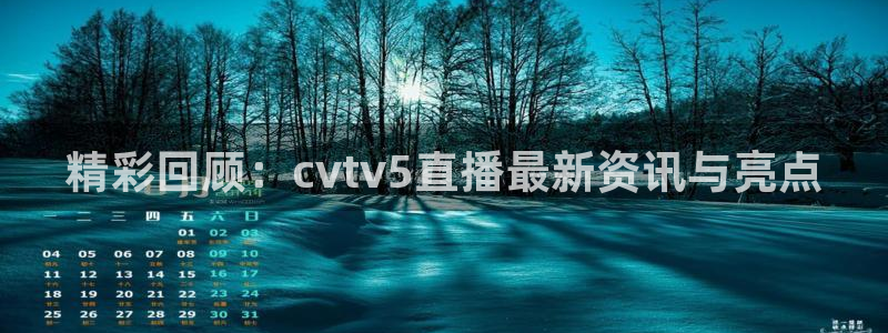 nba总决赛玩球直播：精彩回顾：cvtv5直播最新资讯与亮点