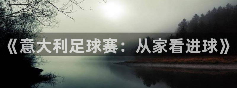 玩球怎么玩：《意大利足球赛：从家看进球》