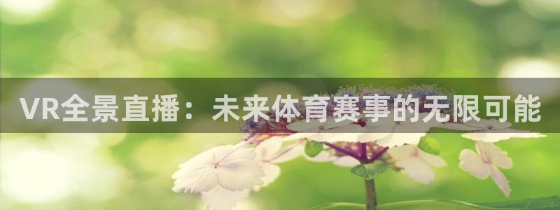 玩球nba直播：VR全景直播：未来体育赛事的无限可能