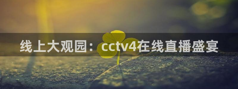 玩球吧直播nba体育直播在线观看：线上大观园：cctv4在线直播盛宴