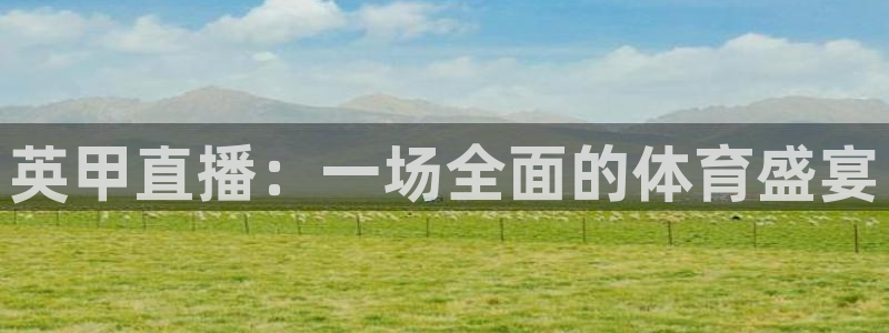 玩球直播app免费下载：英甲直播：一场全面的体育盛宴