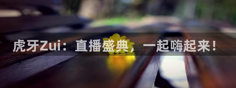 玩球直播官网nba直播免费观看：虎牙Zui：直播盛典，一起嗨起来！