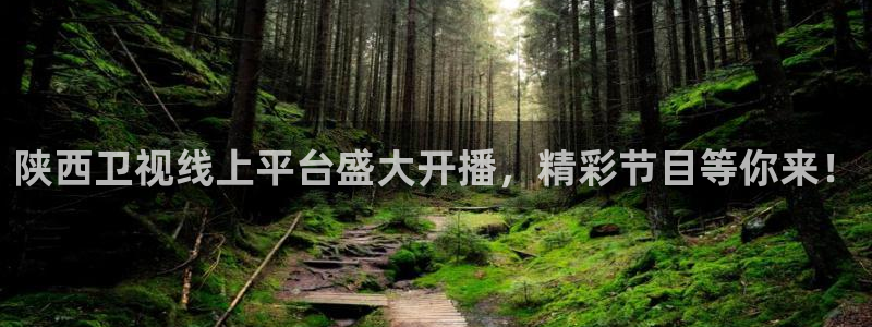 玩球直播观看：陕西卫视线上平台盛大开播，精彩节目等你来！