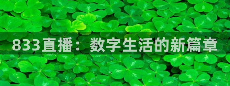 玩球吧直播：833直播：数字生活的新篇章